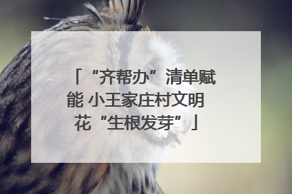 “齐帮办”清单赋能 小王家庄村文明花“生根发芽”