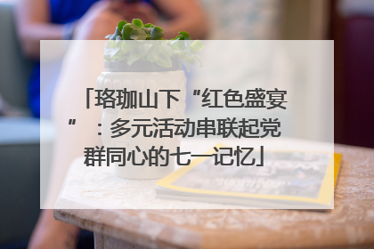珞珈山下“红色盛宴”：多元活动串联起党群同心的七一记忆