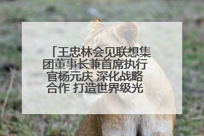 王忠林会见联想集团董事长兼首席执行官杨元庆 深化战略合作 打造世界级光电子信息产业集群