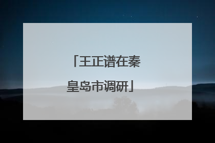 王正谱在秦皇岛市调研