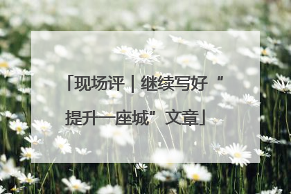 现场评｜继续写好“提升一座城”文章