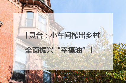 灵台：小车间榨出乡村全面振兴“幸福油”