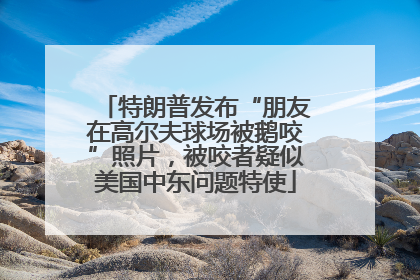 特朗普发布“朋友在高尔夫球场被鹅咬”照片，被咬者疑似美国中东问题特使