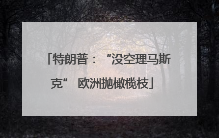 特朗普：“没空理马斯克” 欧洲抛橄榄枝