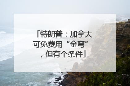 特朗普：加拿大可免费用“金穹”，但有个条件