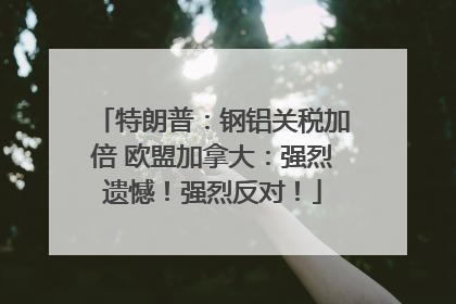 特朗普：钢铝关税加倍 欧盟加拿大：强烈遗憾！强烈反对！