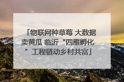 物联网种草莓 大数据卖黄瓜 临沂“四雁孵化”工程链动乡村共富