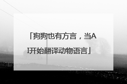 狗狗也有方言，当AI开始翻译动物语言