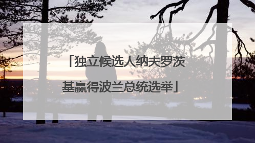 独立候选人纳夫罗茨基赢得波兰总统选举