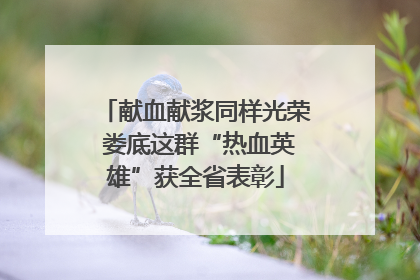 献血献浆同样光荣 娄底这群“热血英雄”获全省表彰
