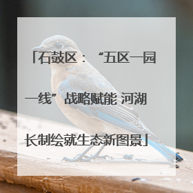 石鼓区：“五区一园一线”战略赋能 河湖长制绘就生态新图景