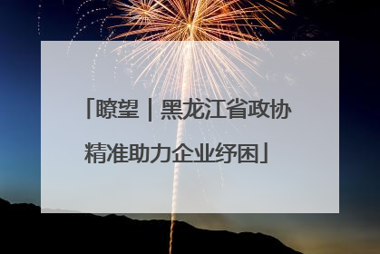 瞭望｜黑龙江省政协精准助力企业纾困