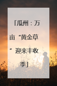 瓜州：万亩“黄金草”迎来丰收季