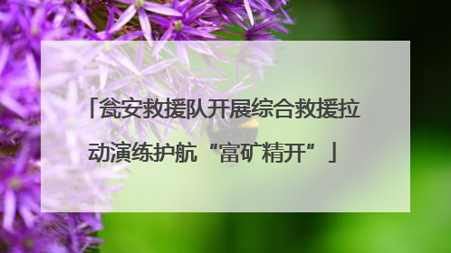 瓮安救援队开展综合救援拉动演练护航“富矿精开”