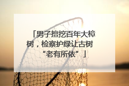 男子擅挖百年大樟树，检察护绿让古树“老有所依”