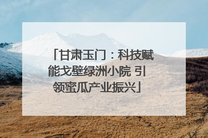 甘肃玉门：科技赋能戈壁绿洲小院 引领蜜瓜产业振兴