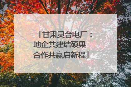 甘肃灵台电厂：地企共建结硕果 合作共赢启新程