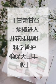 甘肃甘谷：辣椒进入开花挂果期 科学管护确保大田丰收