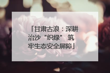 甘肃古浪：深耕治沙“织绿” 筑牢生态安全屏障