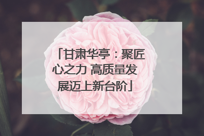 甘肃华亭：聚匠心之力 高质量发展迈上新台阶