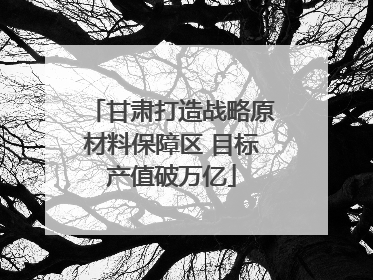 甘肃打造战略原材料保障区 目标产值破万亿