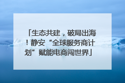 生态共建，破局出海！静安“全球服务商计划”赋能电商闯世界