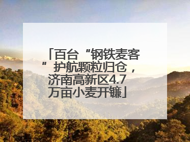 百台“钢铁麦客”护航颗粒归仓，济南高新区4.7万亩小麦开镰