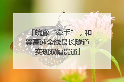 皖豫“牵手”，和襄高速全线最长隧道实现双幅贯通
