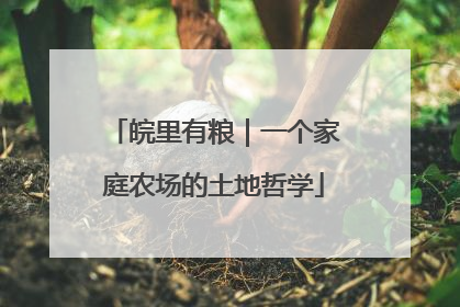 皖里有粮｜一个家庭农场的土地哲学