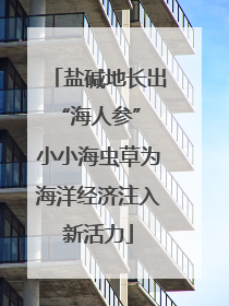 盐碱地长出“海人参” 小小海虫草为海洋经济注入新活力