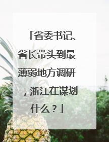 省委书记、省长带头到最薄弱地方调研，浙江在谋划什么？