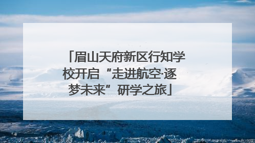 眉山天府新区行知学校开启“走进航空·逐梦未来”研学之旅