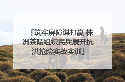 筑牢屏障谋打赢 株洲茶陵组织民兵展开抗洪抢险实战实训