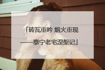 砖瓦重吟 烟火重现——泰宁老宅涅槃记