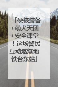 硬核装备+萌犬天团+安全课堂！这场警民互动燃爆地铁台东站