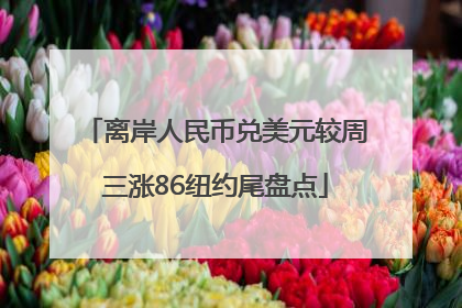 离岸人民币兑美元较周三涨86纽约尾盘点