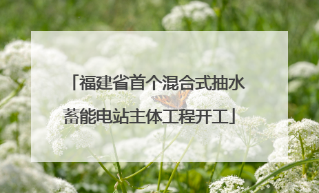 福建省首个混合式抽水蓄能电站主体工程开工