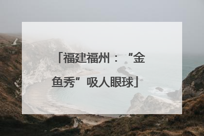 福建福州：“金鱼秀”吸人眼球