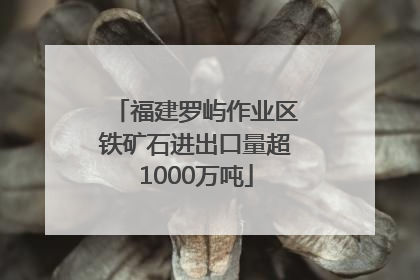 福建罗屿作业区铁矿石进出口量超1000万吨