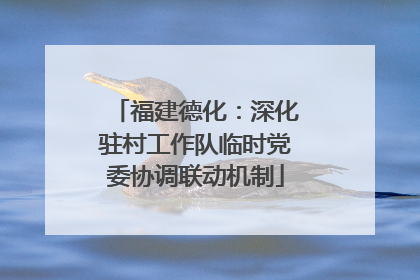 福建德化：深化驻村工作队临时党委协调联动机制