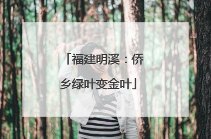 福建明溪：侨乡绿叶变金叶
