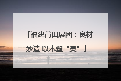福建莆田展团：良材妙造 以木塑“灵”