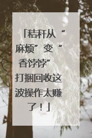 秸秆从“麻烦”变“香饽饽” 打捆回收这波操作太赚了！
