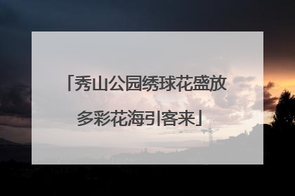 秀山公园绣球花盛放 多彩花海引客来