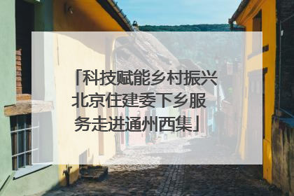 科技赋能乡村振兴 北京住建委下乡服务走进通州西集