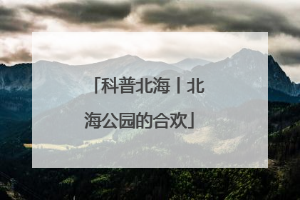 科普北海丨北海公园的合欢
