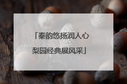 秦韵悠扬润人心 梨园经典展风采