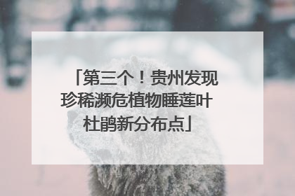第三个！贵州发现珍稀濒危植物睡莲叶杜鹃新分布点