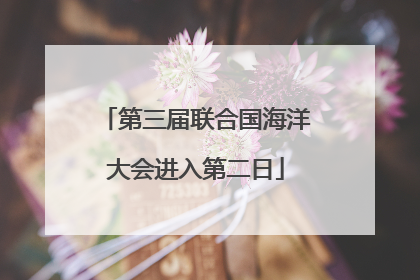 第三届联合国海洋大会进入第二日