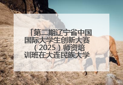 第二期辽宁省中国国际大学生创新大赛（2025）师资培训班在大连民族大学成功举办